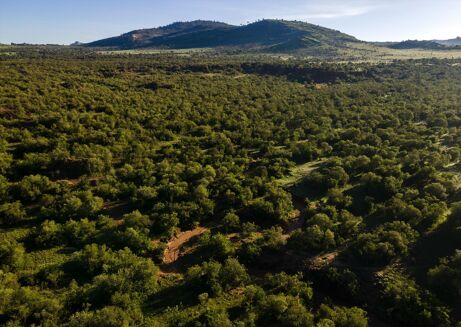 Picture of Land for sale.