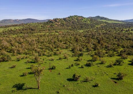 Picture of Land for sale.