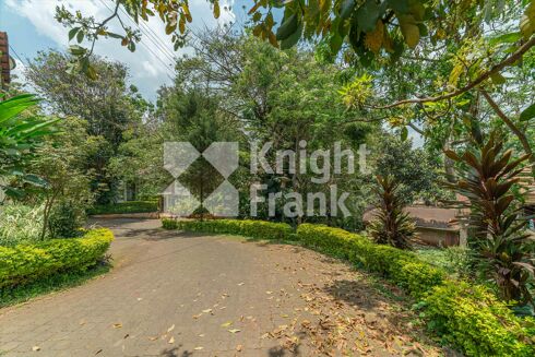 Picture of Land for sale.