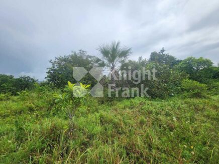 Picture of Land for sale.