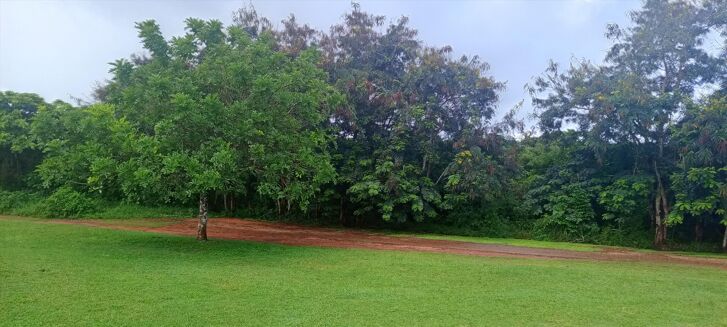 Picture of Development Plot for sale.