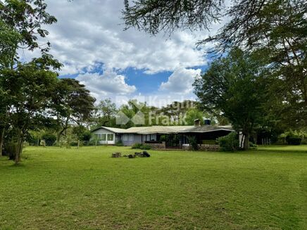 Picture of Land for sale.