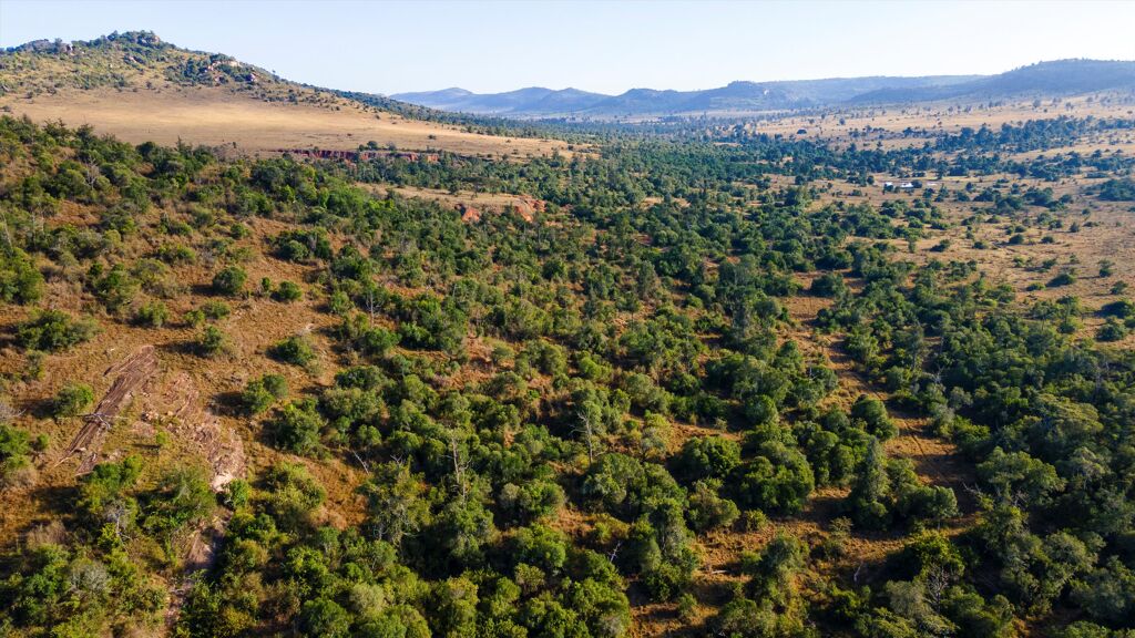 Image of Eastern Lugga, Lolldaiga Valley, Nanyuki, Laikipia