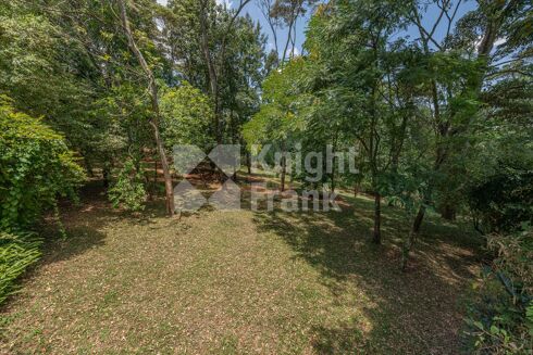 Picture of Land for sale.