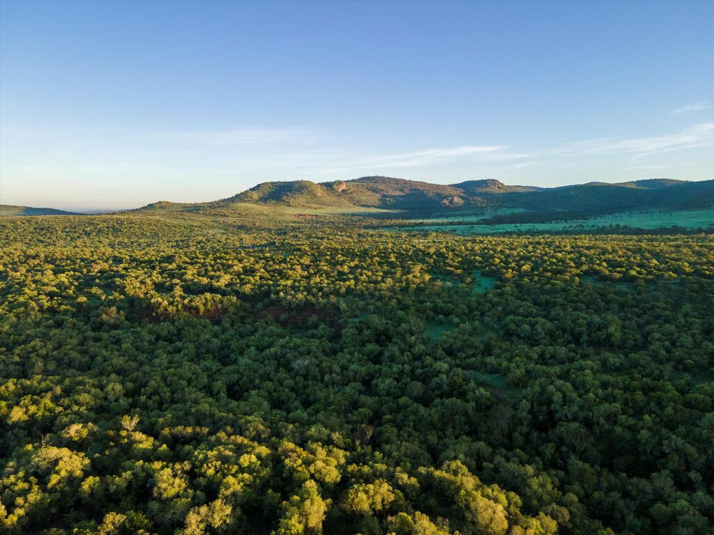 Image of Southern Forest Valley (West), Lolldaiga Valley, Nanyuki, Laikipia