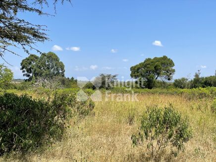 Picture of Land for sale.