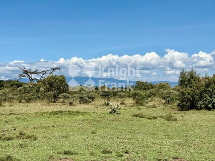 Picture of Land for sale.