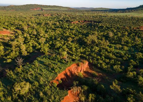 Picture of Land for sale.