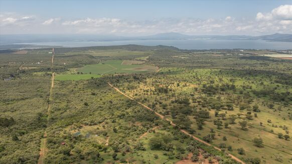 Picture of Development Plot for sale.