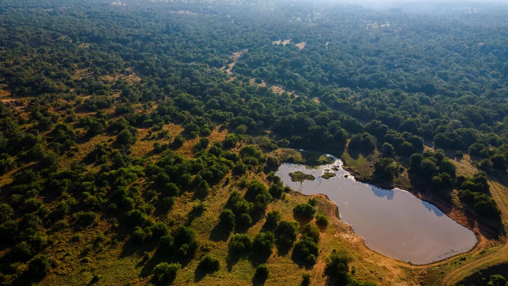 Image of Central Forest Valley, Lolldaiga Valley, Nanyuki, Laikipia