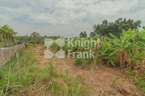 Picture of Land for sale.