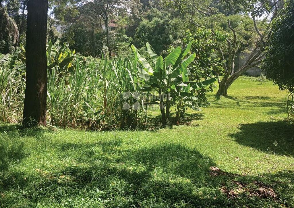 Image of Off Riverside Drive, Riverside, Nairobi