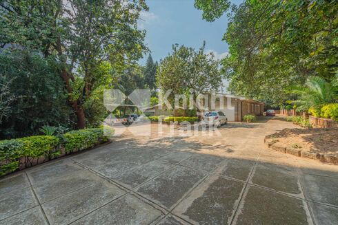 Picture of Land for sale.