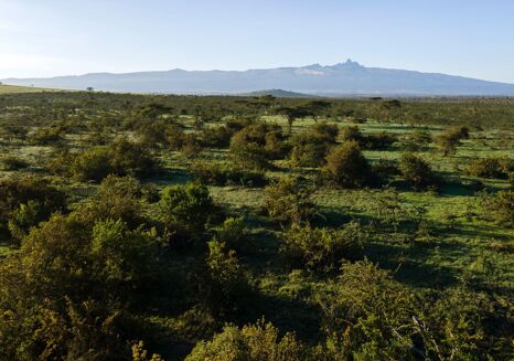 Picture of Land for sale.