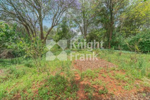 Picture of Land for sale.