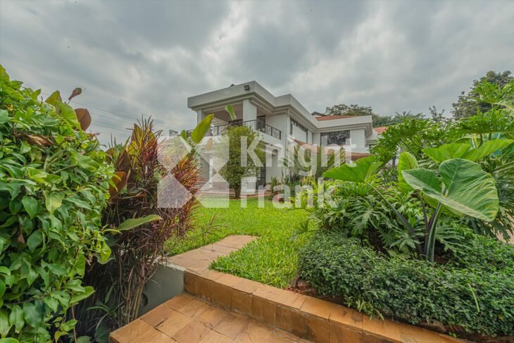 Picture of Runda Mimosa, Runda