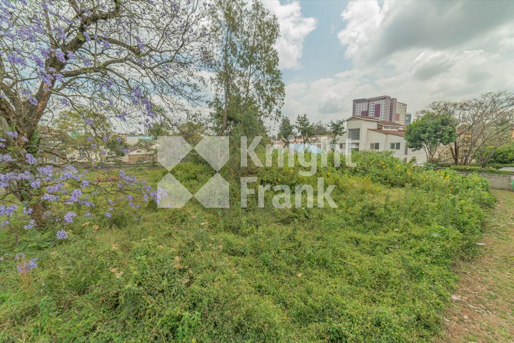 Image of Ngong Road, Nairobi