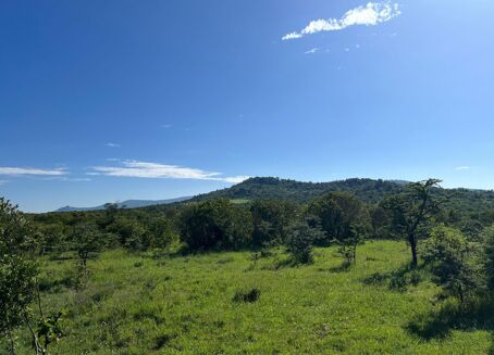 Picture of Land for sale.