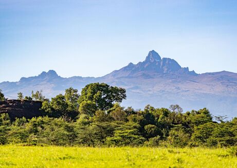 Picture of Land for sale.