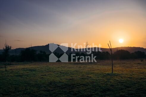Picture of Land for sale.