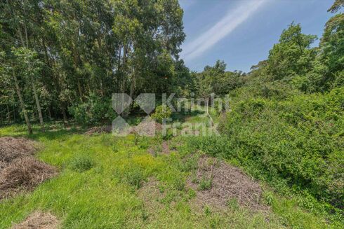 Picture of Land for sale.