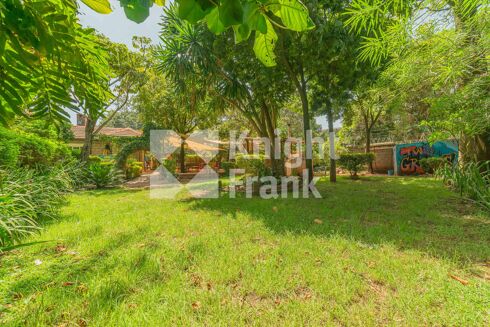 Picture of Land for sale.