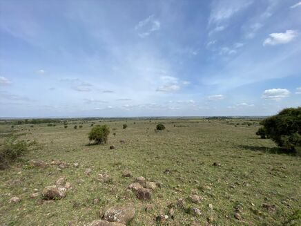 Picture of Land for sale.