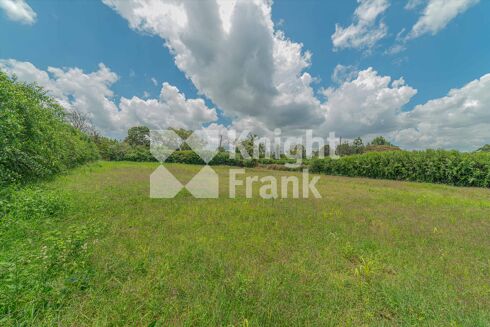 Picture of Land for sale.