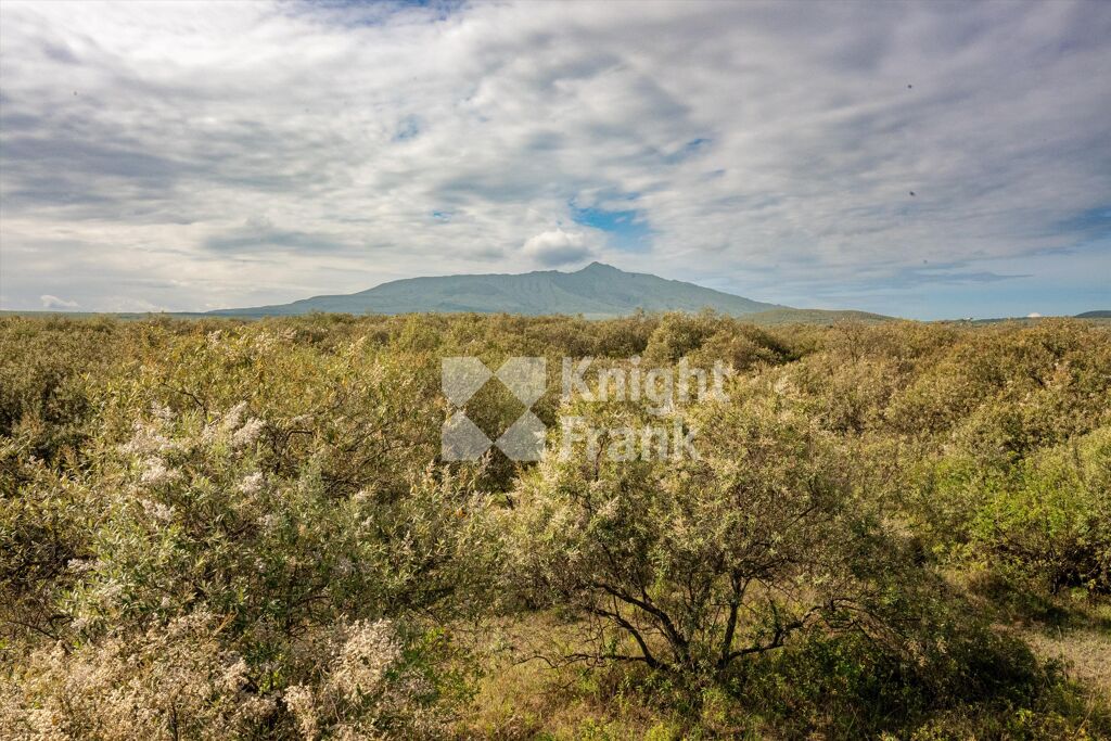 Image of Kedong, Naivasha, Upcountry