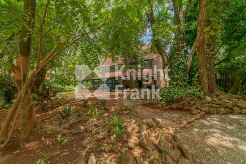 Picture of Land for sale.