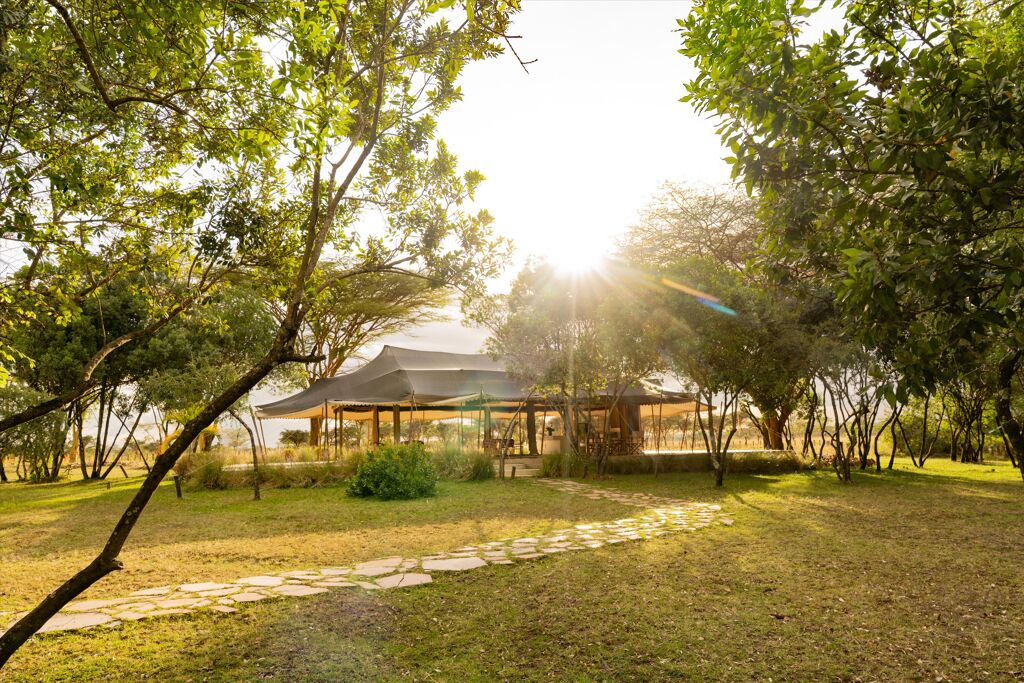 Image of Naretoi, Masai Mara, Upcountry
