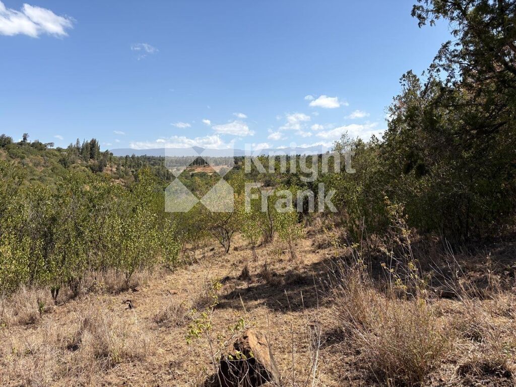 Image of Timau, Nanyuki, Upcountry