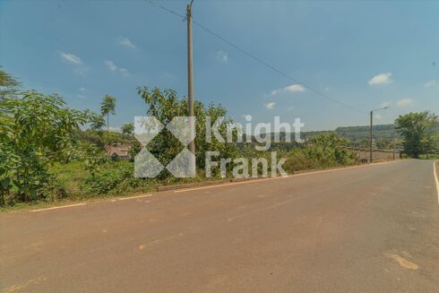 Picture of Land for sale.