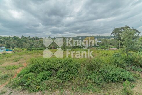 Picture of Land for sale.