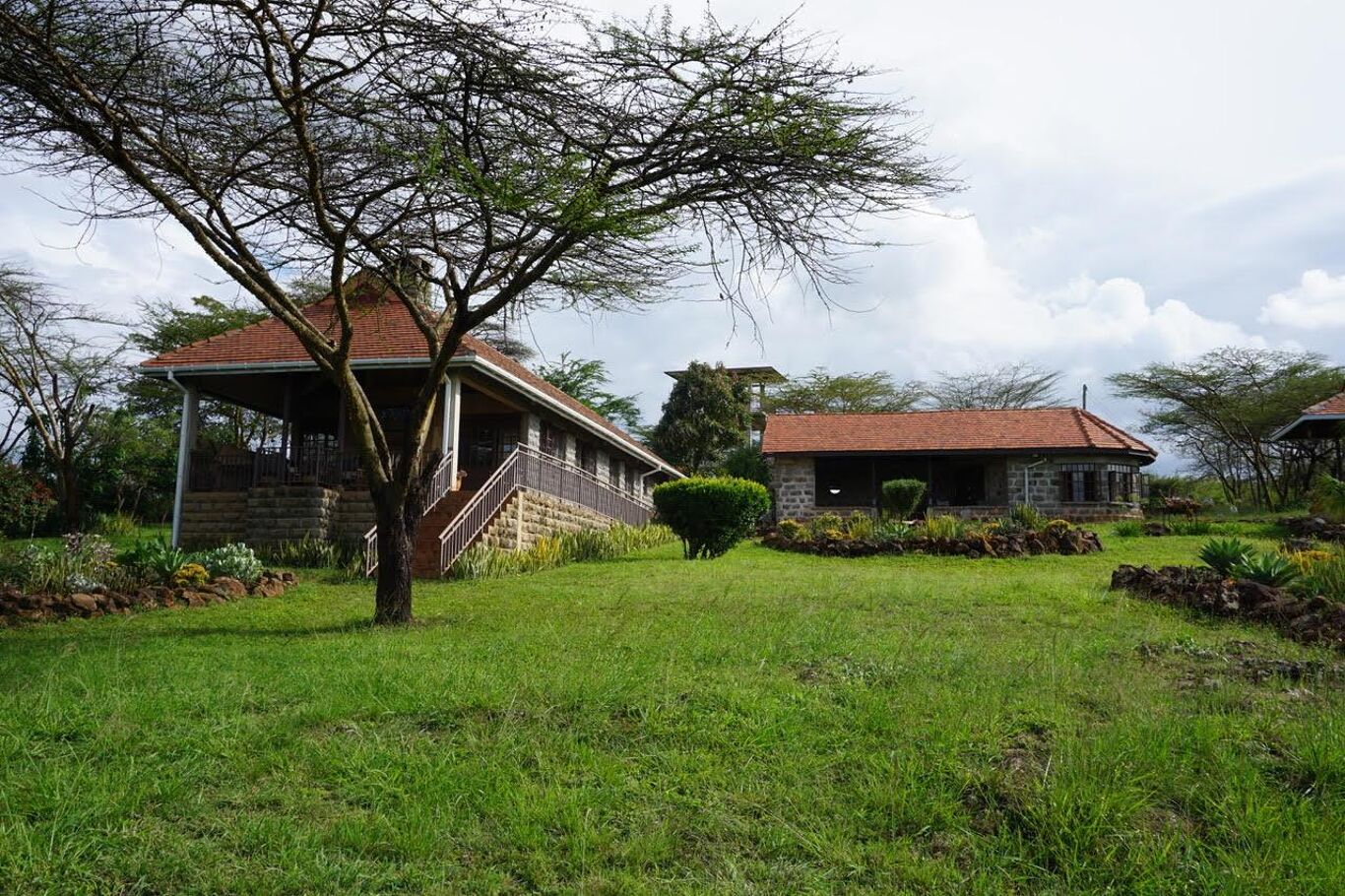 Image of Tuala, Nairobi National Park, Kitengela, Nairobi