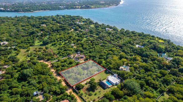 Picture of Land for sale.