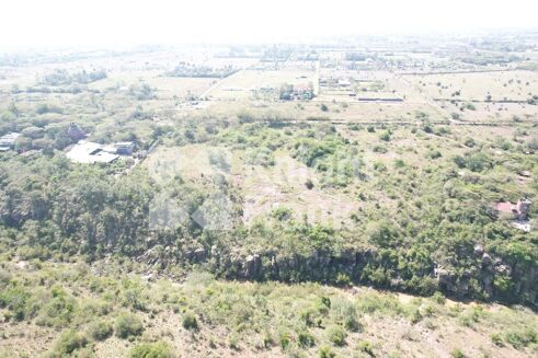 Picture of Land for sale.