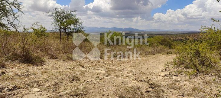 Picture of Land for sale.
