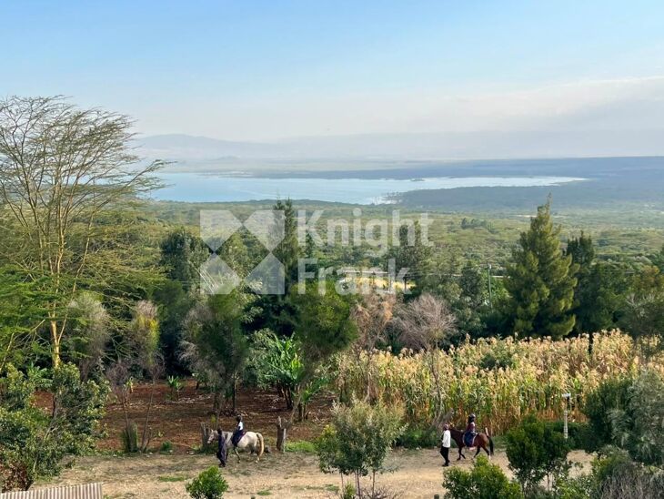 Picture of Nakuru, Lake Elementaita