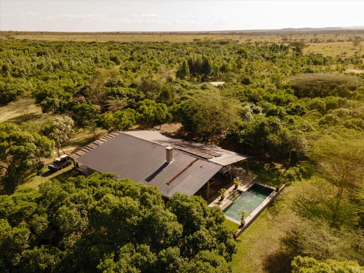 Picture of Naretoi, Masai Mara, Upcountry