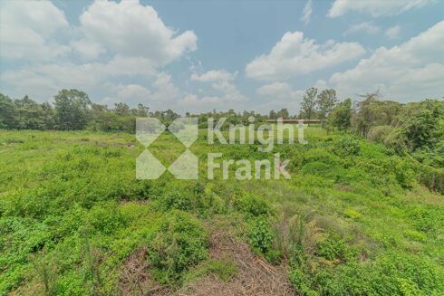 Picture of Land for sale.
