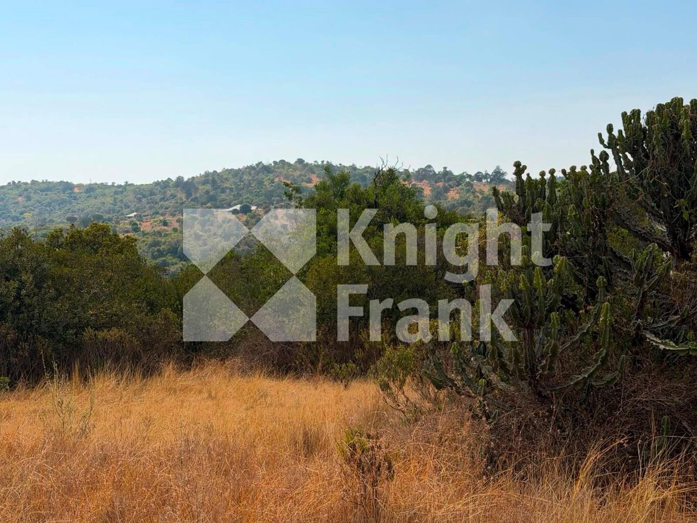 Image of Ethi, Laikipia, Upcountry