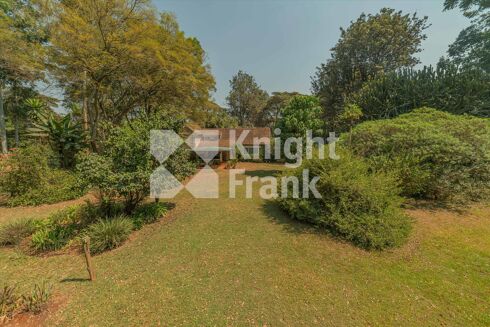 Picture of Land for sale.