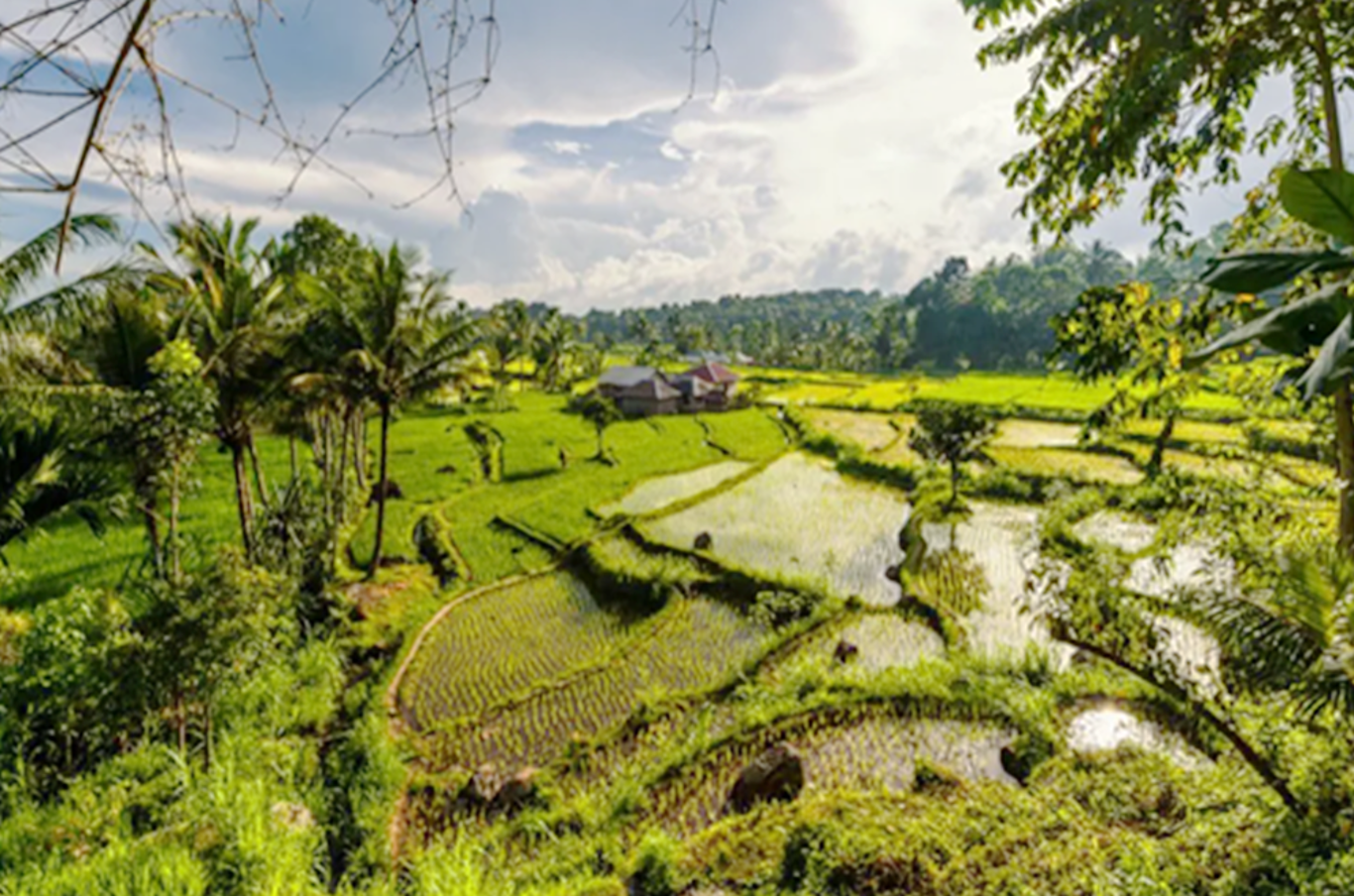 Image of North Lombok, West Nusa Tenggara Province