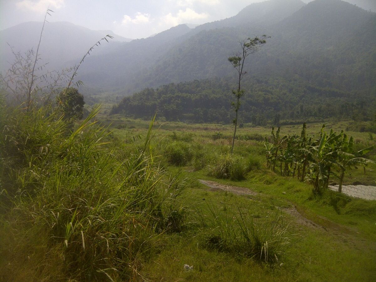 Land To Rent In Jl Tarogong Cipanas Garut Idvlph10025garut Knight Frank