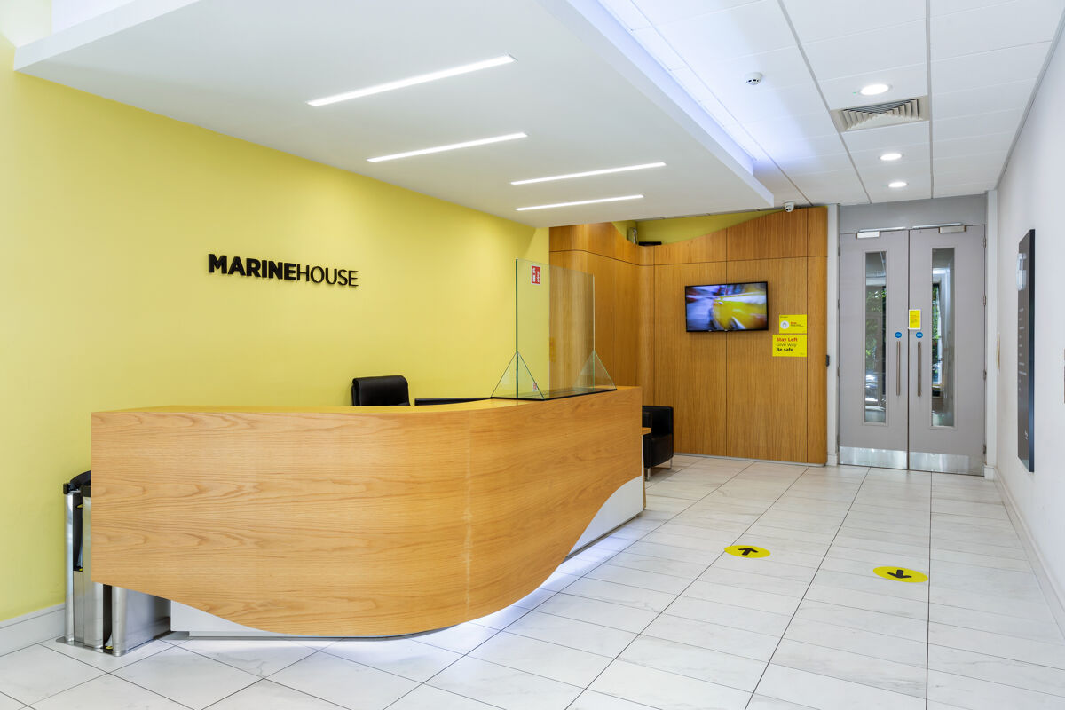 Office to rent in MARINE HOUSE, CLANWILLIAM COURT, DUBLIN 2 IEO106020 Knight Frank