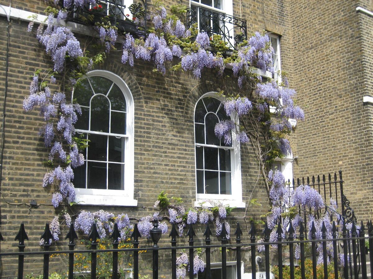 house for sale in Stonefield Street, London, N1 ISL012266454 Knight