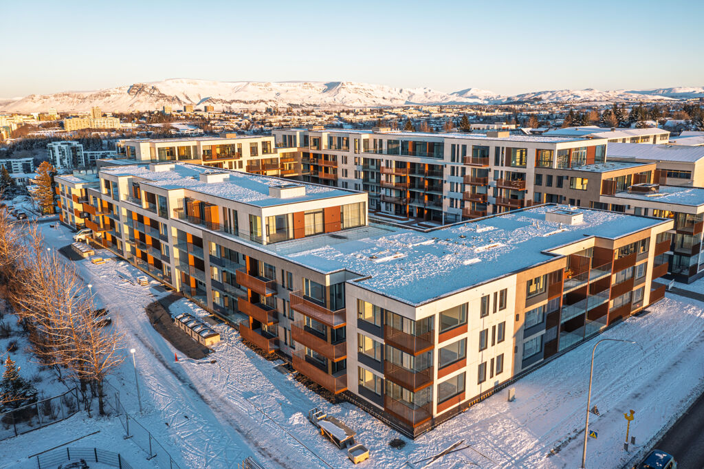 Image of Skolatrod 4 - Kopavogur