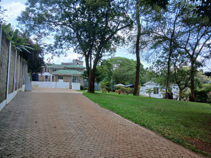 Picture of 1,200 sqft Office for rent.