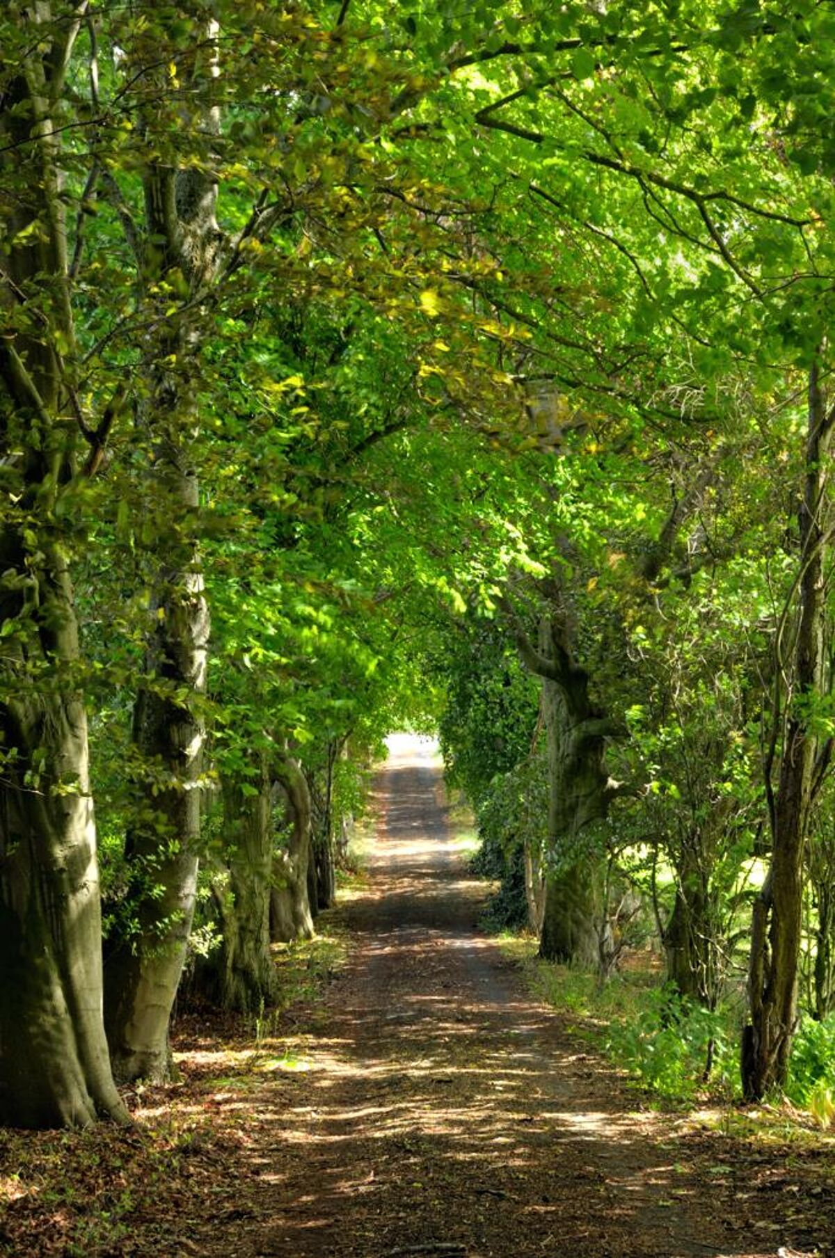 house for sale in Chatton, Wooler, Northumberland, NE71 LAU012032734